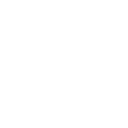 06_icn