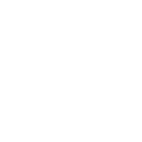 07_icn
